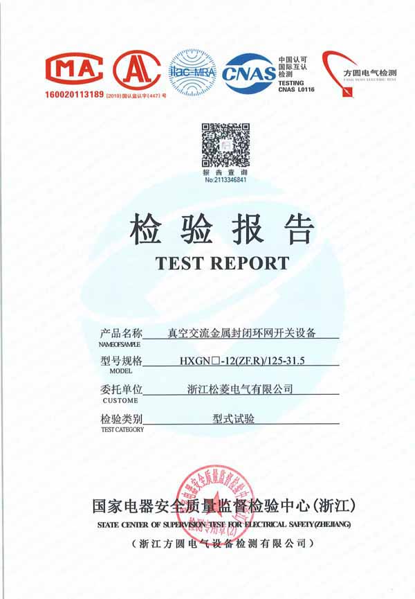HXGN-12真空交流金属封闭环网开关设备125-31.5（型式试验报告）